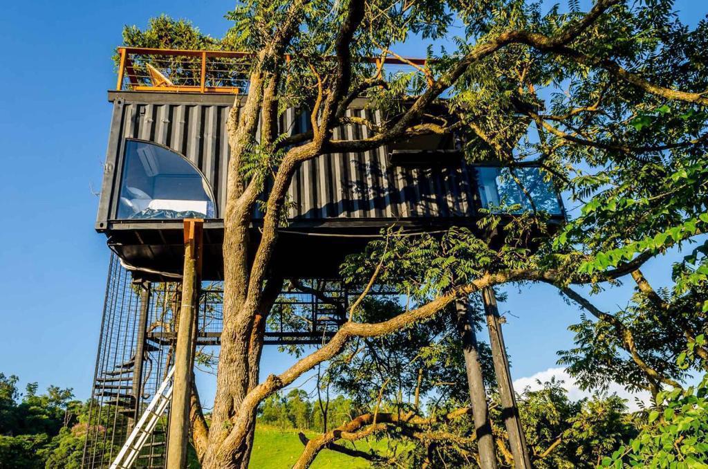 Container da Árvore — hospedagem suspensa em meio à mata